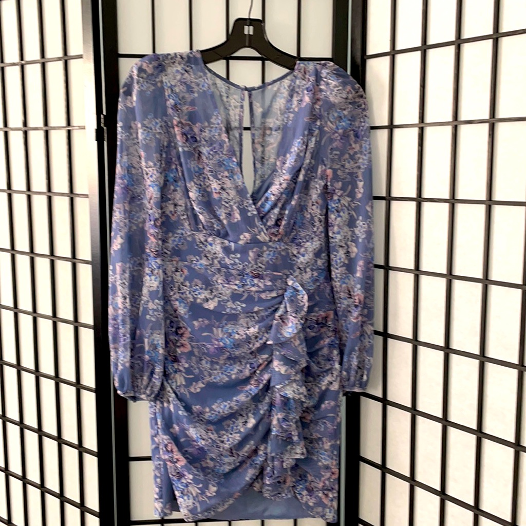 Nwt Ever New Melbourne Floral Dress